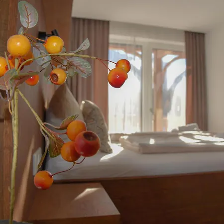 Grimmingpanorama 公寓