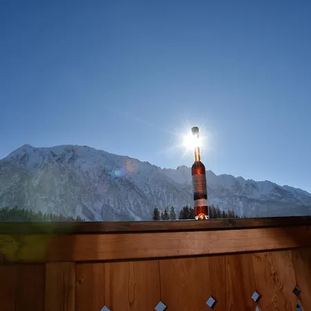 公寓 Grimmingpanorama 陶普利茨