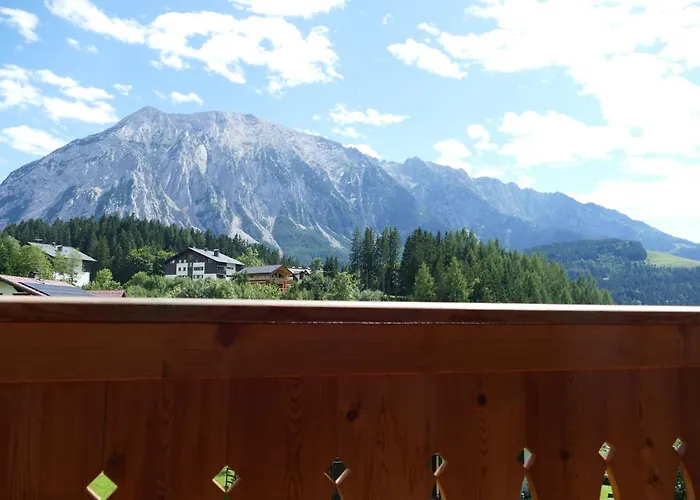 Grimmingpanorama 公寓