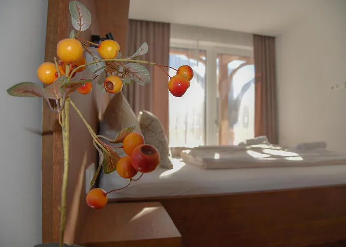 Grimmingpanorama 公寓