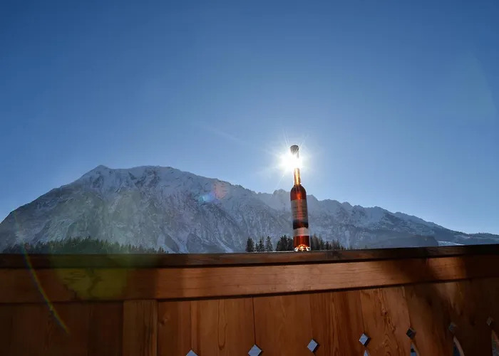 公寓 Grimmingpanorama 陶普利茨